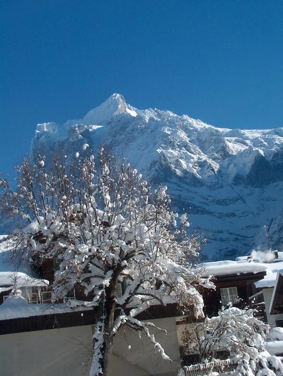 Ferienwohnungen Chalet Hohturnen Grindelwald Esterno foto