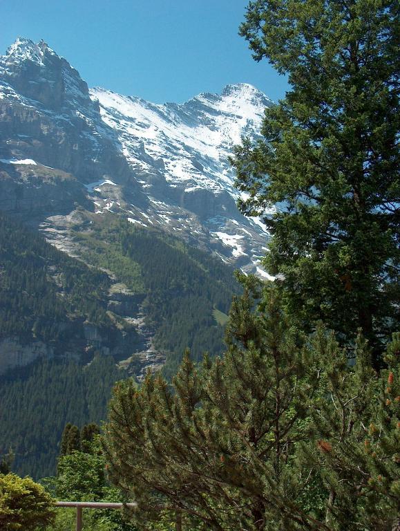 Ferienwohnungen Chalet Hohturnen Grindelwald Esterno foto
