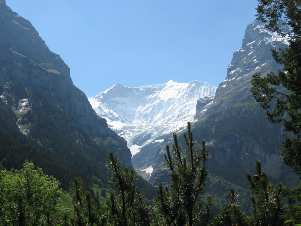 Ferienwohnungen Chalet Hohturnen Grindelwald Esterno foto